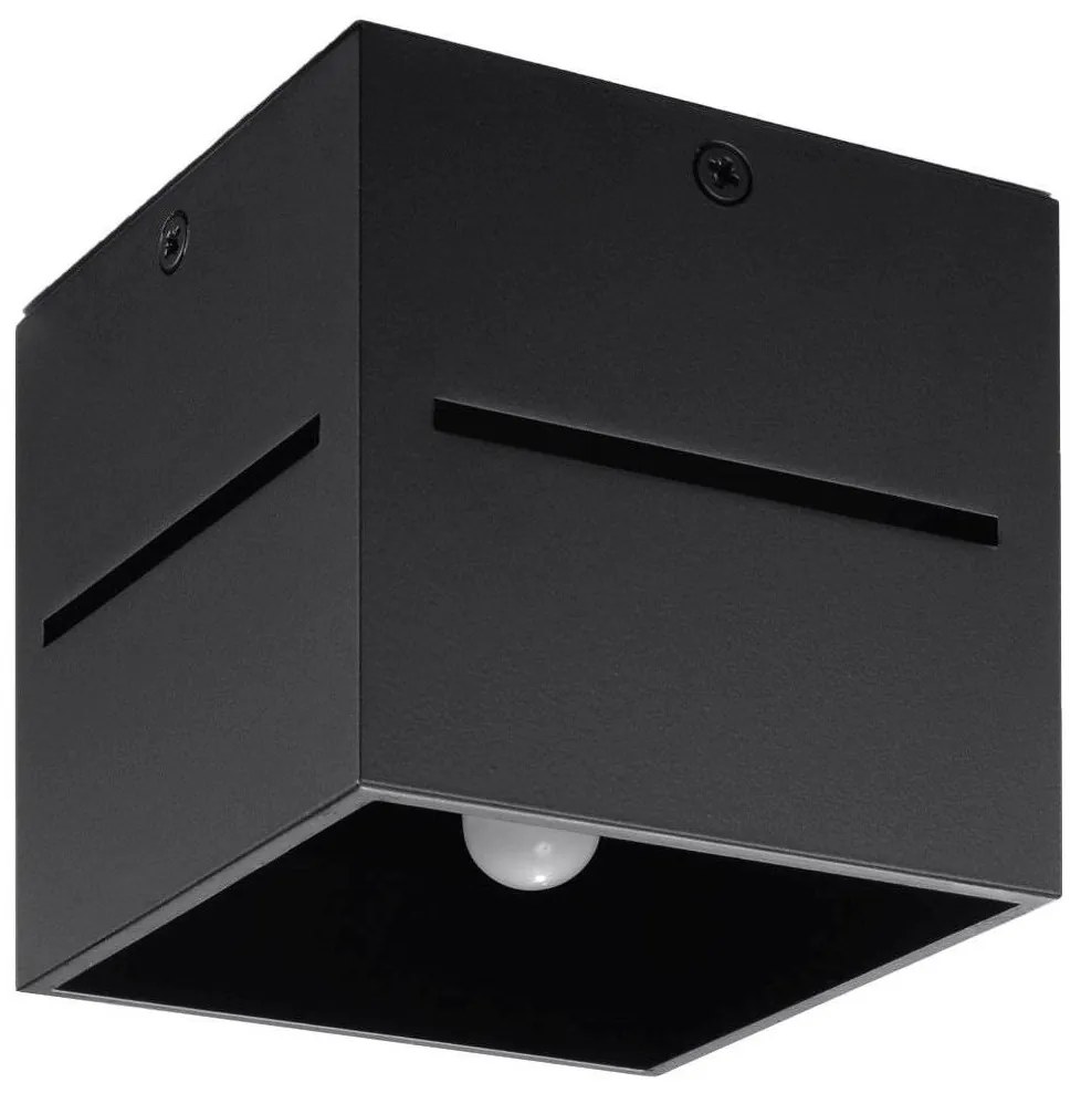 Stropné svietidlo LOBO 1xG9/40W/230V čierna