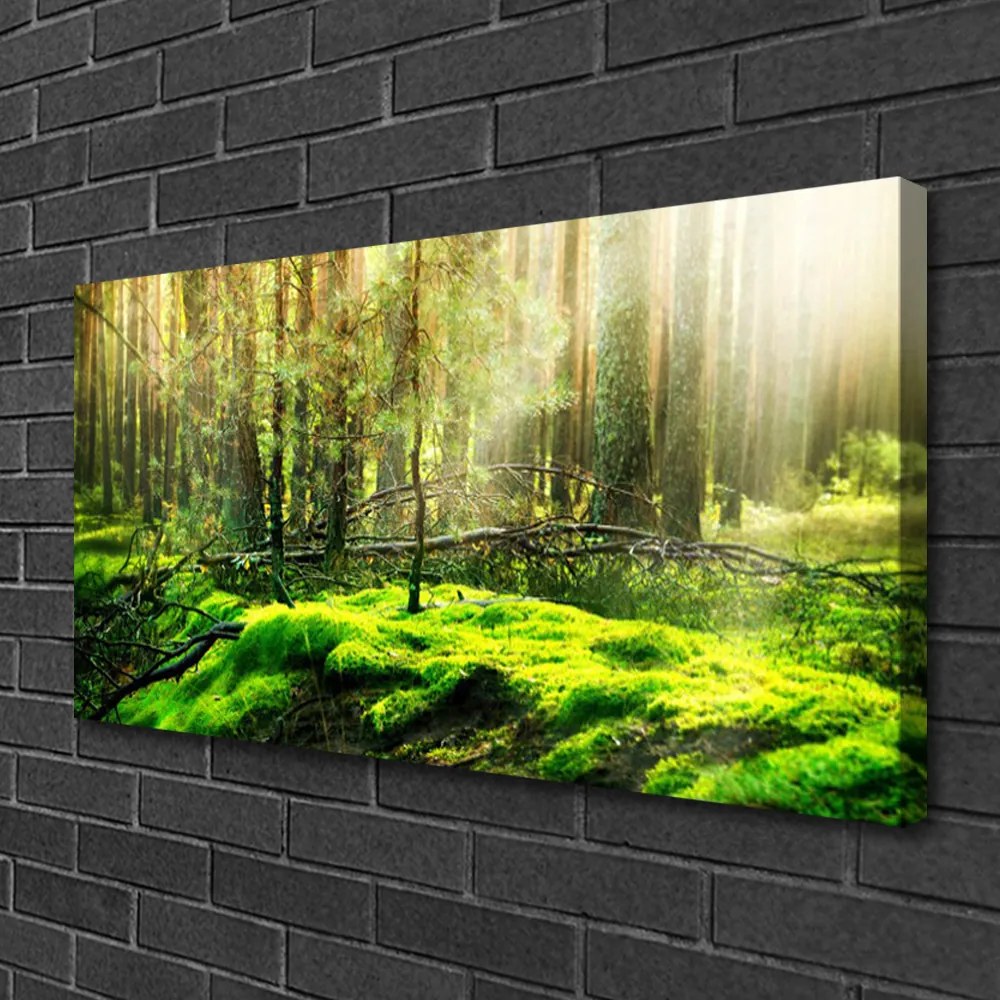 Obraz na plátne Mech les príroda 140x70 cm