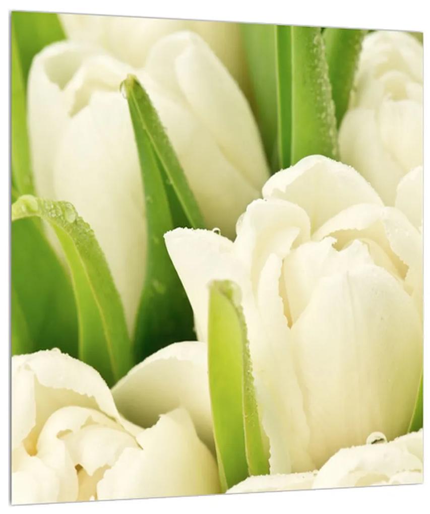 Obraz kvetov tulipánov (30x30 cm)