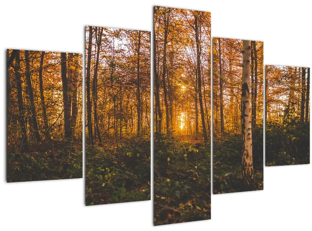 Obraz jesenného lesa (150x105 cm)