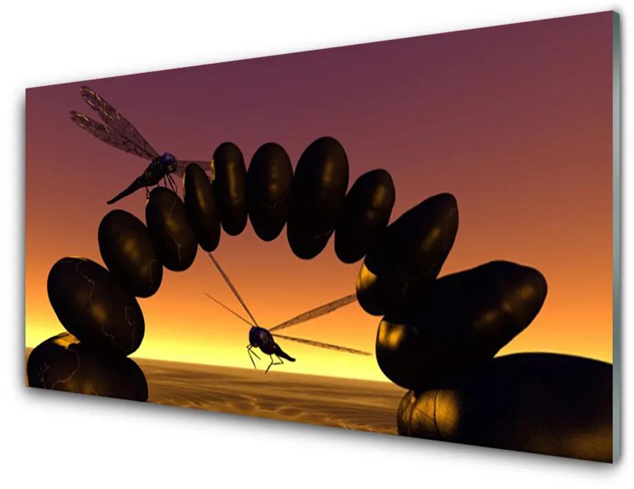 Obraz plexi Vážky kamene umenie 120x60 cm