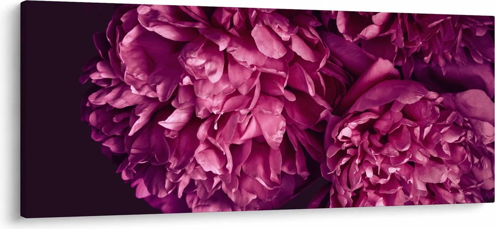 Obraz - Kytica pivoniek (120x50 cm)