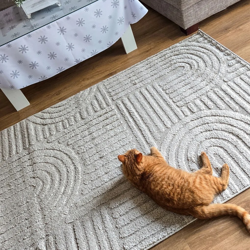 Ayyildiz, Kusový koberec Art 1121 Silver, 200x290, šedá, obývacia izba