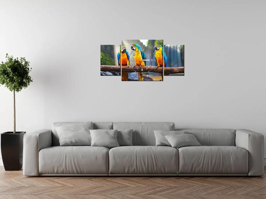Gario Obraz s hodinami Farebné papagáje - 3 dielny Rozmery: 90 x 30 cm