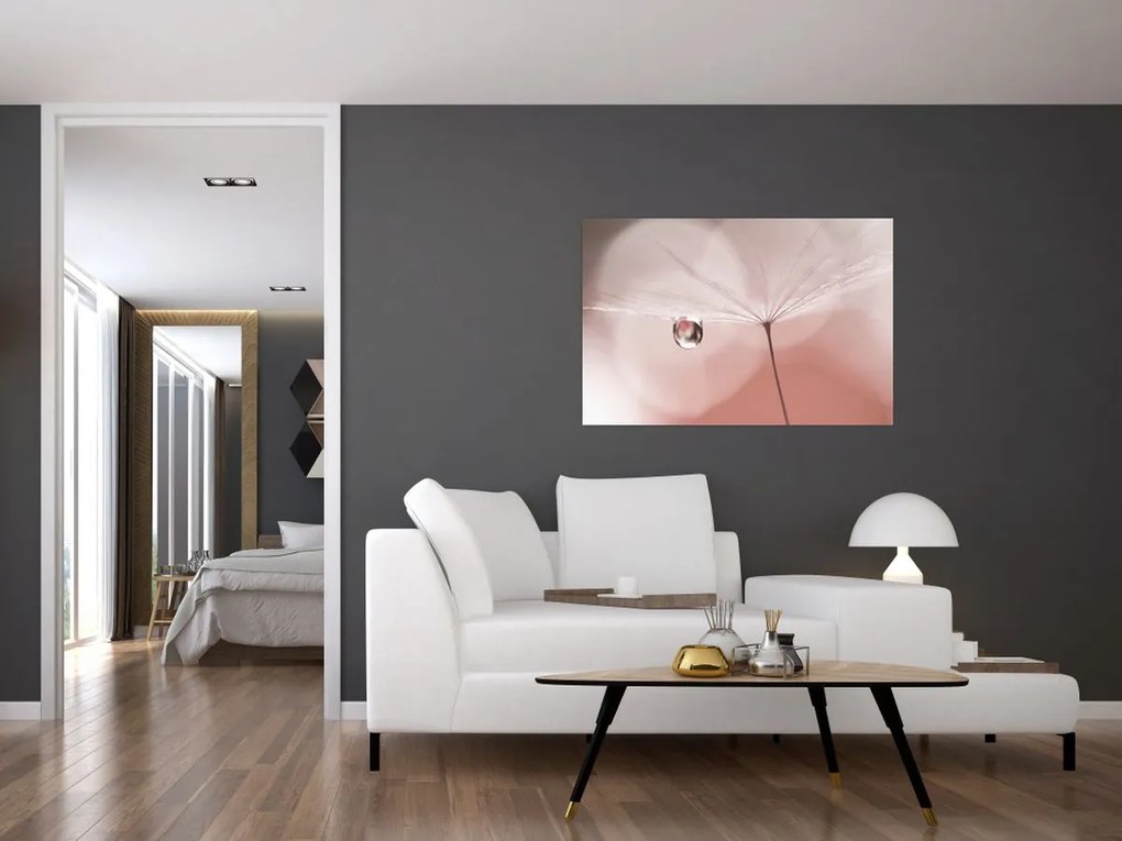 Obraz - Kvapka rosy (90x60 cm)