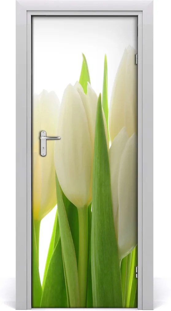 Fototapeta na dveře Bílé tulipány
