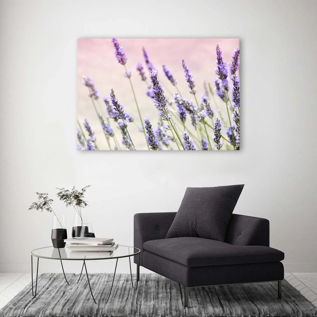 Gario Obraz na plátne Levanduľové kvety Rozmery: 120 x 80 cm