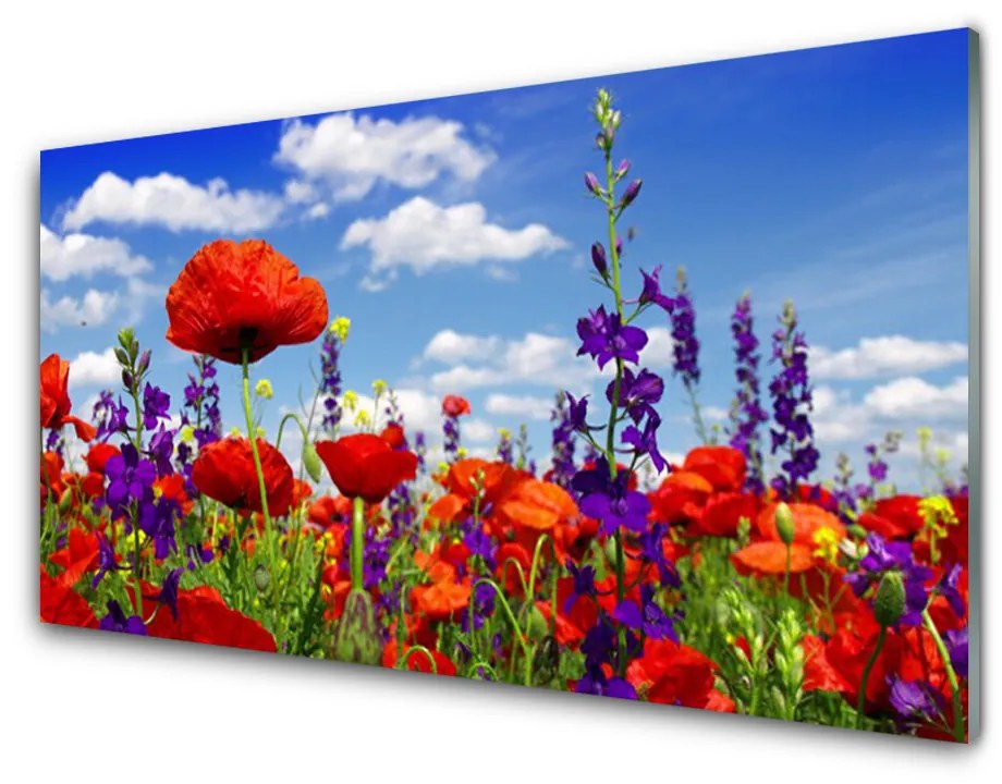 Obraz na akrylátovom skle Tulipány rastlina 100x50cm