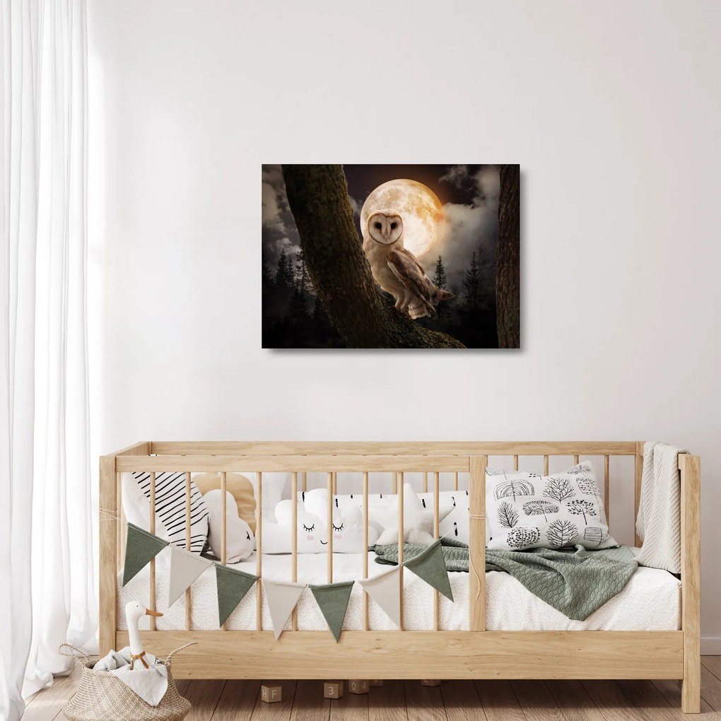 Sklenený obraz sovy (70x50 cm)
