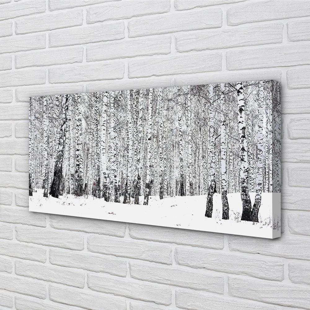 Obraz canvas zimný brezy 125x50 cm