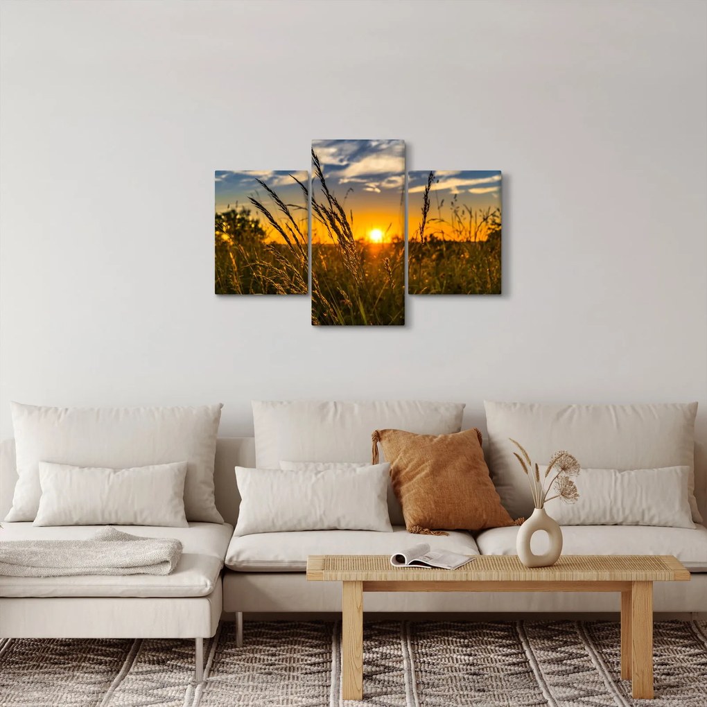 Obraz pole pri západe slnka (90x60 cm)