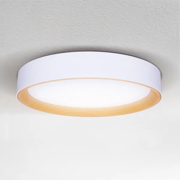 Brilagi -LED Stmievateľné svietidlo LARIOS LED/60W/230V 3000-6500K ø 49 cm biela+DO