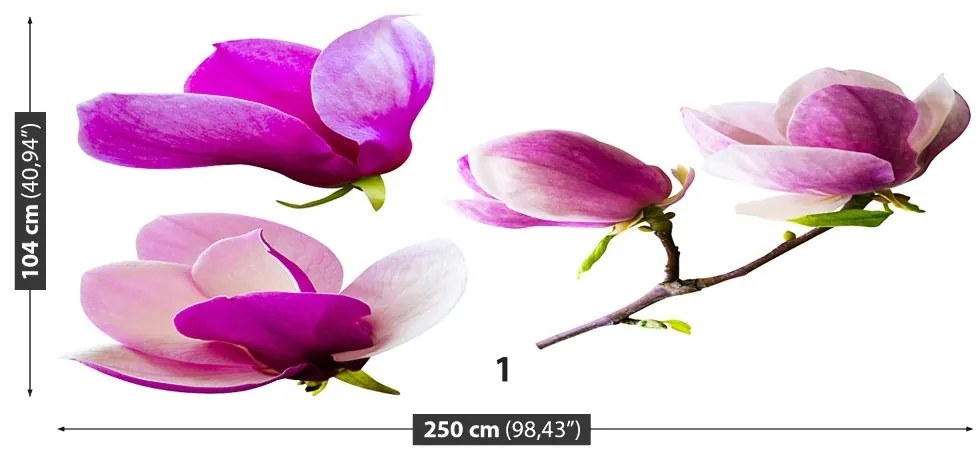 Fototapeta Vliesová Květy magnólie 152x104 cm