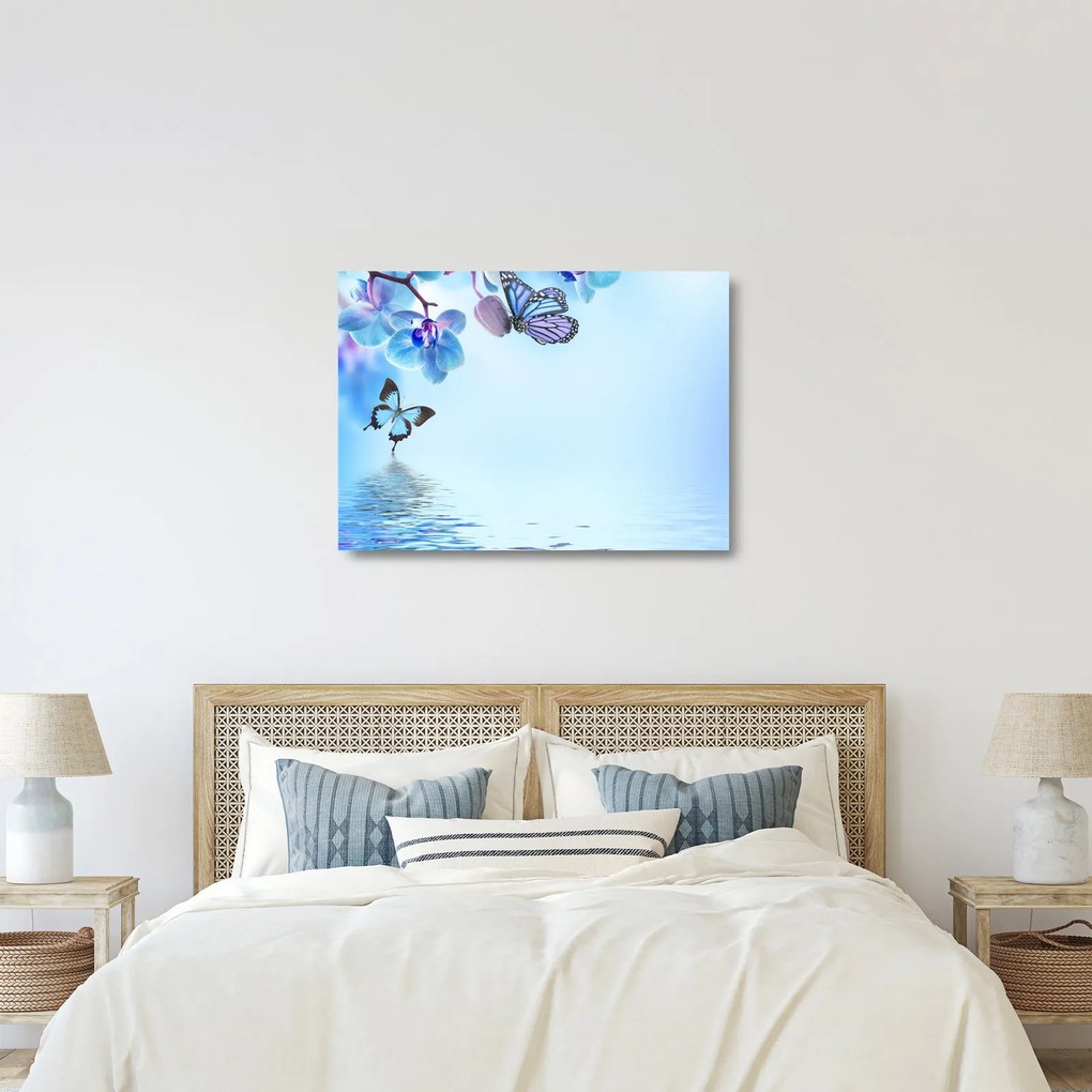 Sklenený obraz - Motýľ na kvetoch orchidey, modrý (70x50 cm)