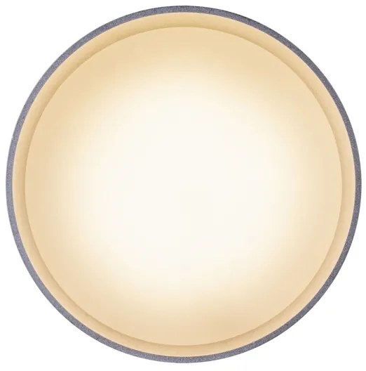 Globo 12015N - LED Stropné svietidlo JENNY LED/8W/230V + LED/4W/230V