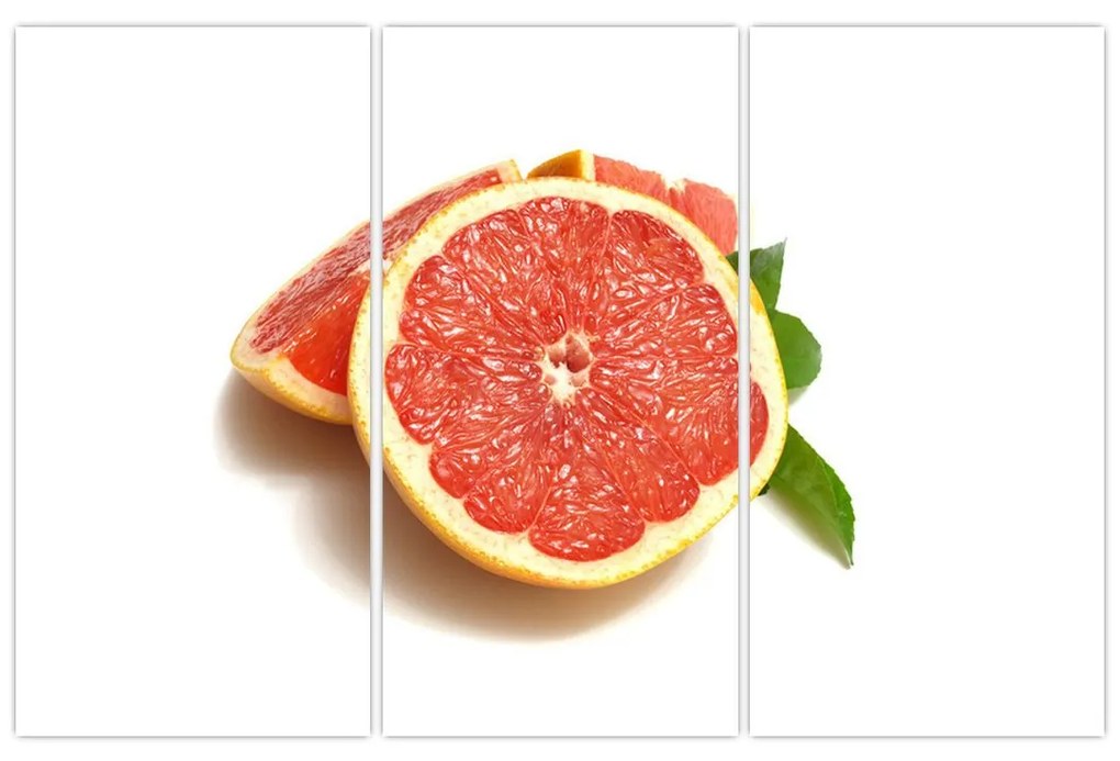 Grapefruit - obraz