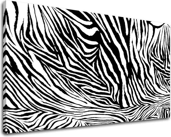 Obraz na stenu ABSTRAKT AB015E11