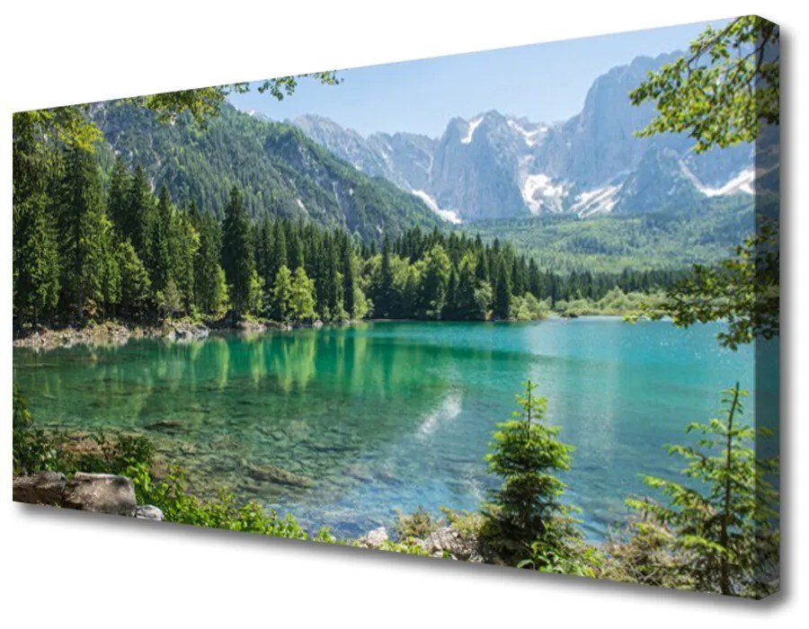 Obraz Canvas Hory jazero les príroda 140x70cm