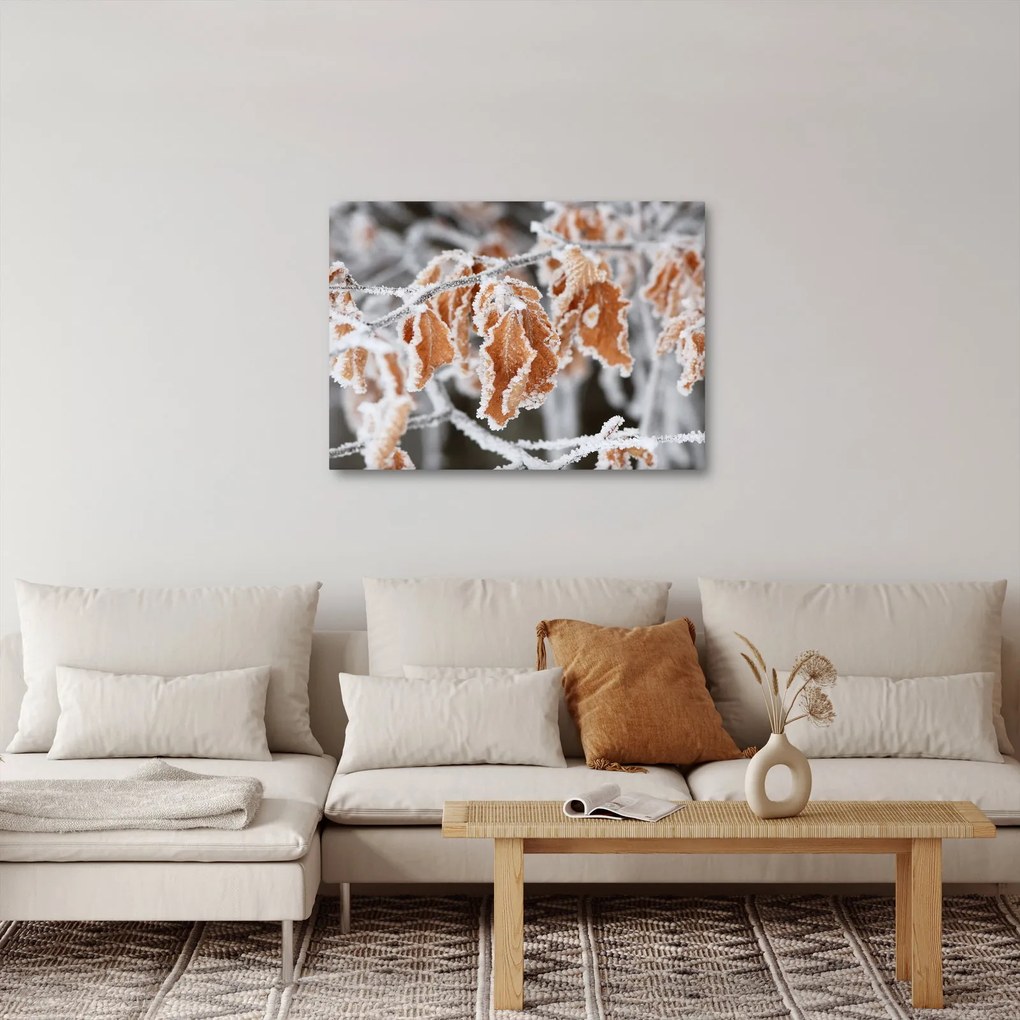 Obraz - Zamrznuté listy (70x50 cm)
