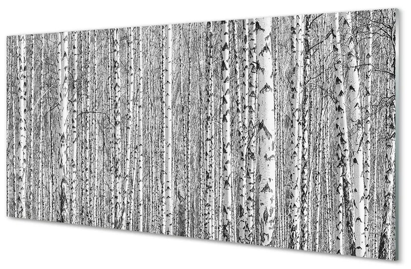 Nástenný panel  Čierna a biela strom les 120x60 cm