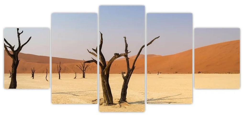 Obraz púšte