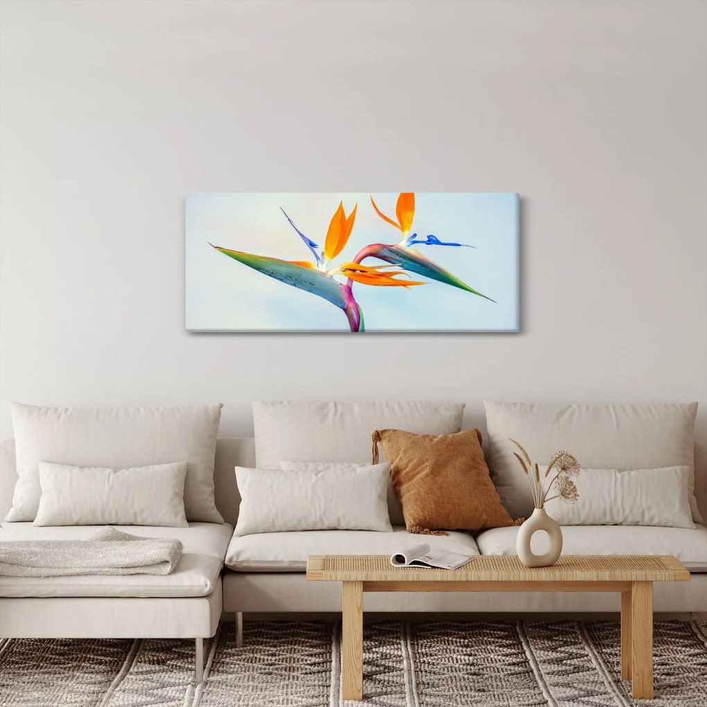 Obraz kvetu Strelícia (120x50 cm)