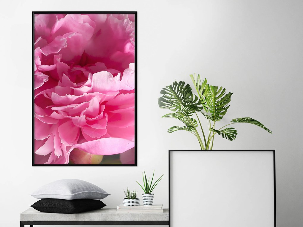 Artgeist Plagát - Beautiful Peonies [Poster] Veľkosť: 20x30, Verzia: Zlatý rám s passe-partout