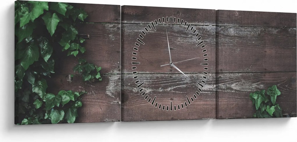 Obraz - Brečtan (s hodinami) (90x30 cm)