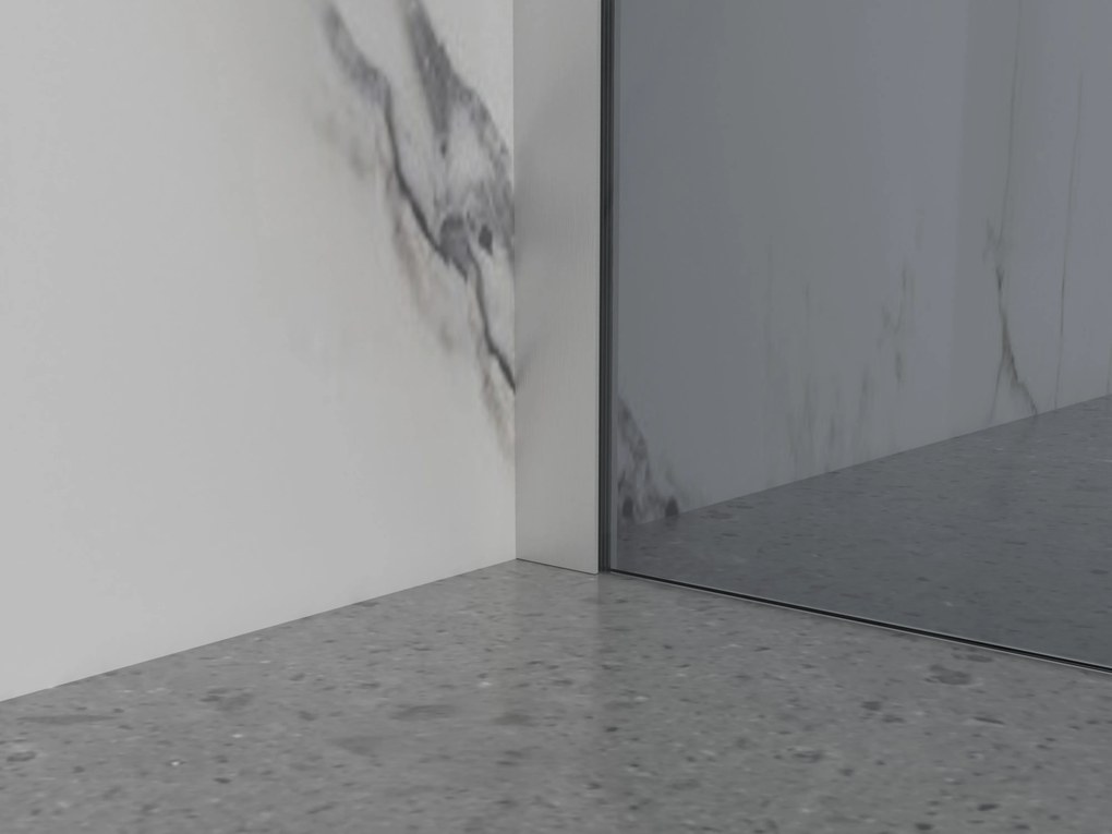 Erga Paris, sprchová zástena Walk-In 80x200 cm, 8mm šedé sklo, brúsená oceľ, ERG-V02-PARIS-080x200-GR-BS