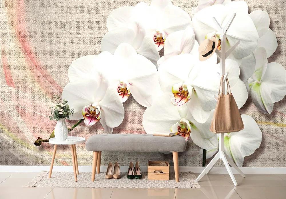Samolepiaca tapeta krása bielej orchidey na plátne