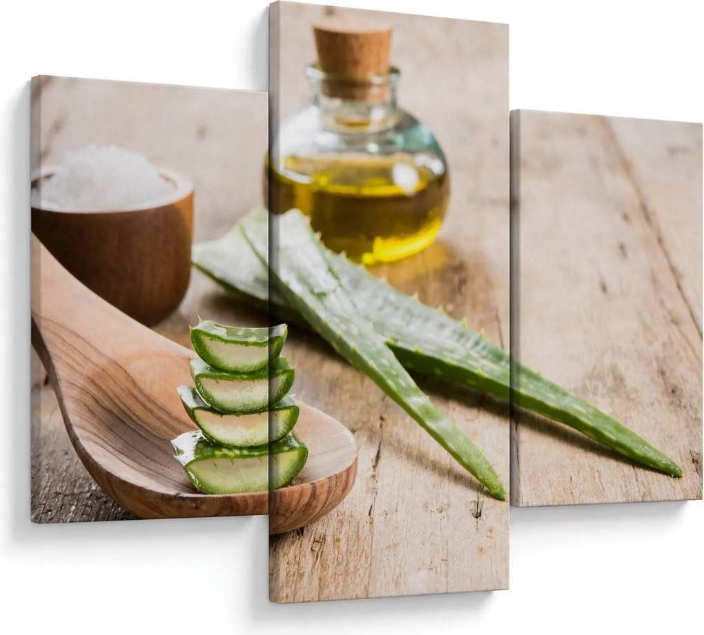 Obraz - Aloe vera (90x60 cm)