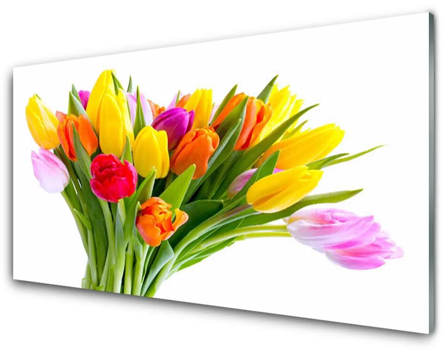 Sklenený obklad Do kuchyne Tulipány kvety rastlina 100x50 cm
