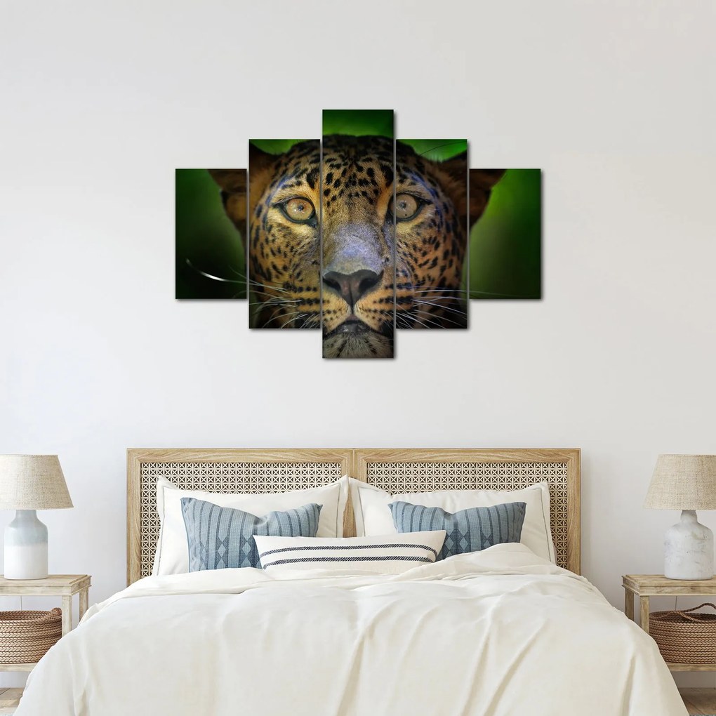 Obraz - Portrét leoparda, Sri Lanka (150x105 cm)