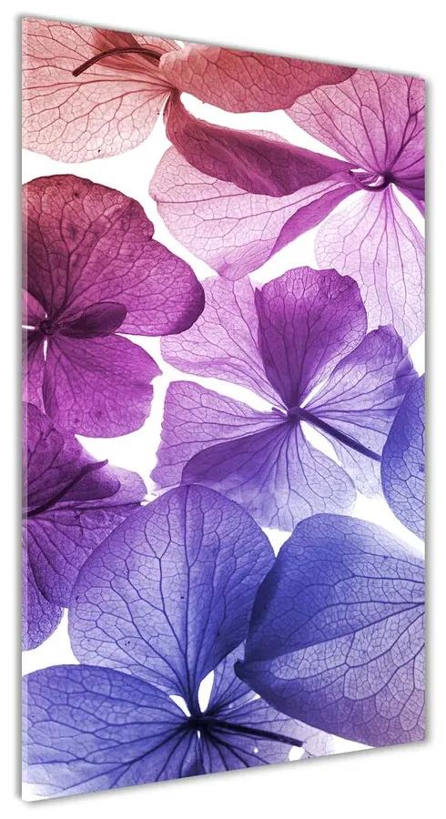 Foto obraz akrylové sklo Fialové kvety pl-oa-70x140-f-35152735