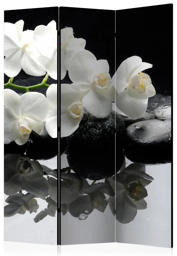 Artgeist Paraván - Spa, Stones and Orchid [Room Dividers]