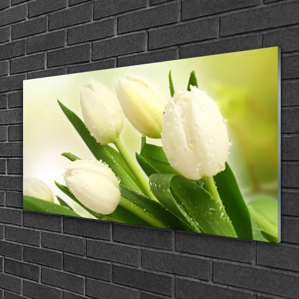 Obraz na skle Tulipány kvety rastlina 140x70 cm
