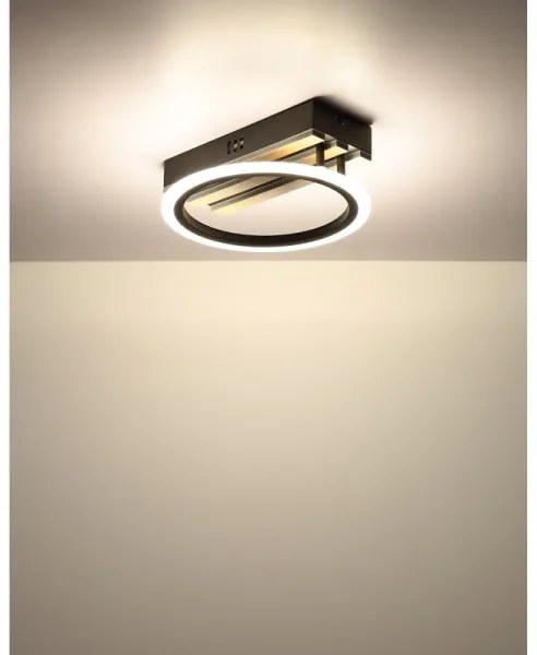 Globo 67360D1 - LED Stropné svietidlo BLEVINS LED/10W/230V 3000/4200/6000K