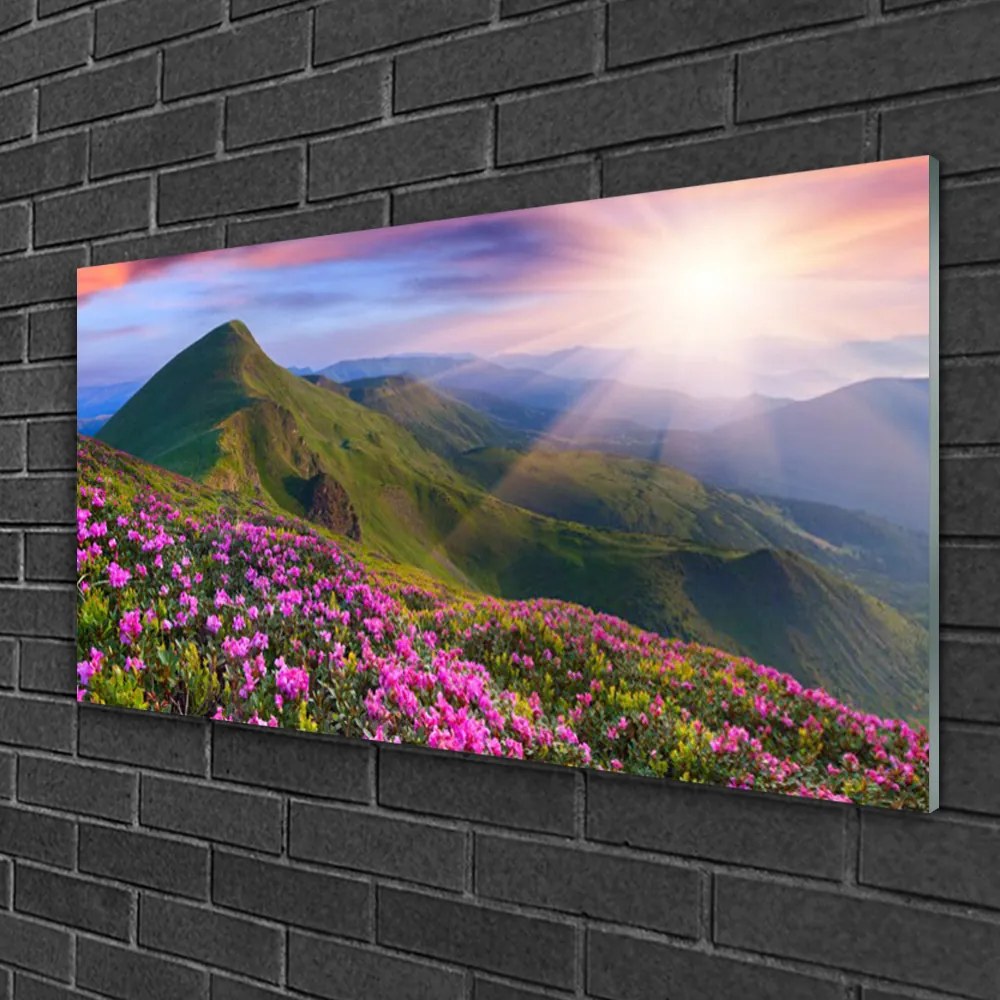 Skleneny obraz Hory lúka kvety príroda 120x60 cm