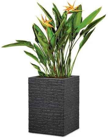 Scheurich Vysoký kvetináč Muretto (kamenistá čierna, výška 54 cm) (100349847)