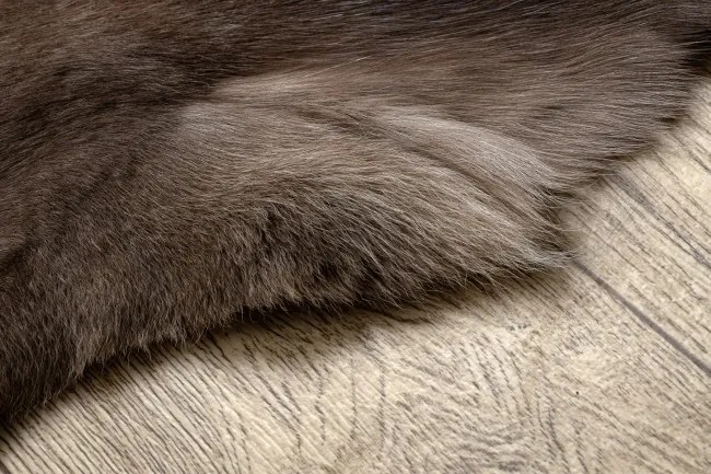 Koberec RENIFER POK010 hnedý