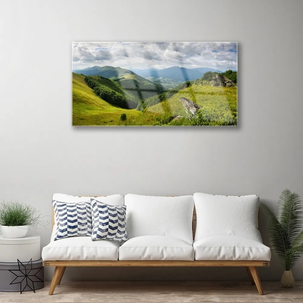 Obraz na skle Hora lúka krajina 140x70 cm