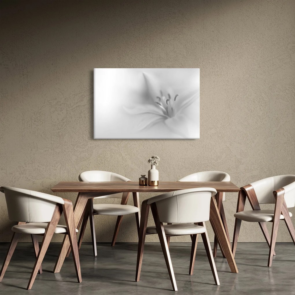 Obraz - Jemná ľalia (90x60 cm)