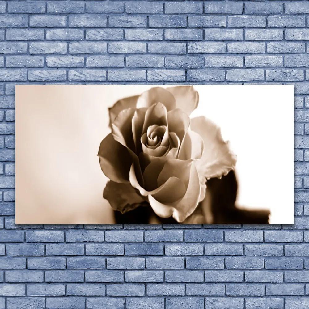 Obraz na akrylátovom skle Ruže kvet 120x60 cm