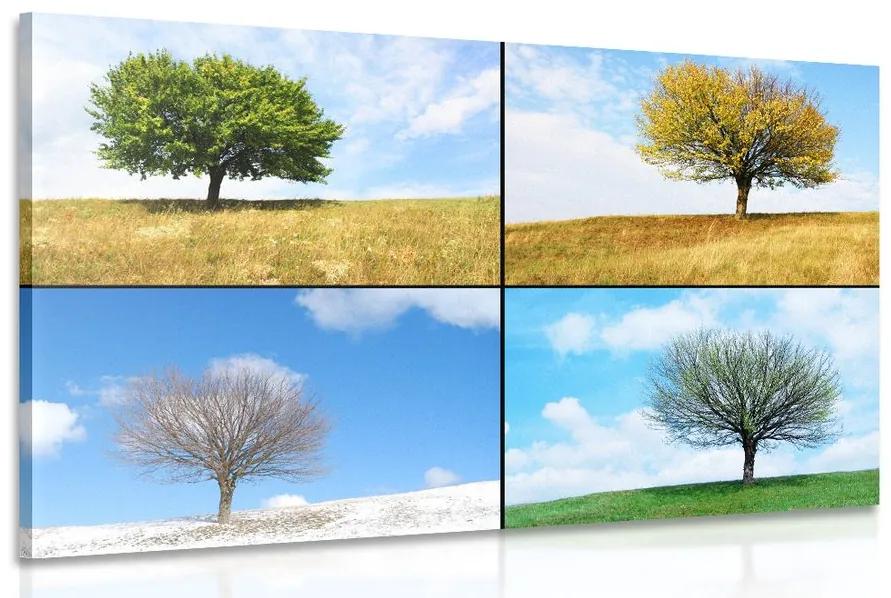Obraz strom v ročných obdobiach Varianta: 120x80