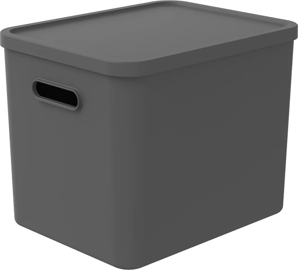 Rotho Úložný box, rovný s víkem, 27l, antracit ALBU LIGHT, 37x29x30