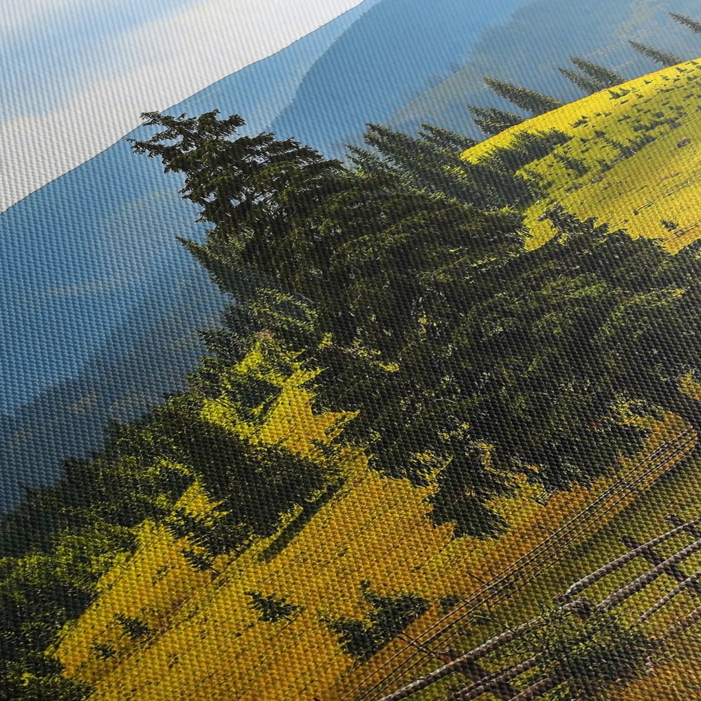 Obraz - Horská lúka (90x60 cm)