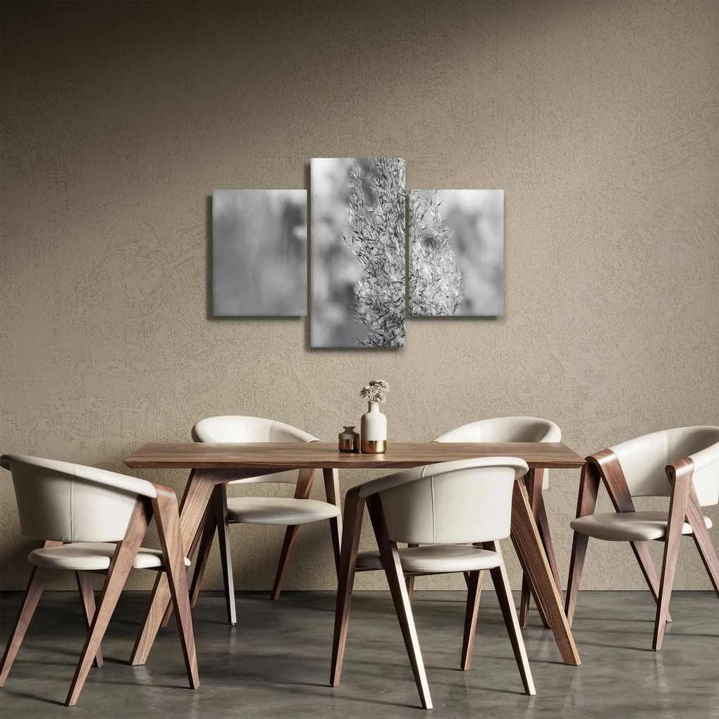 Obraz - Boho pampas grass (90x60 cm)