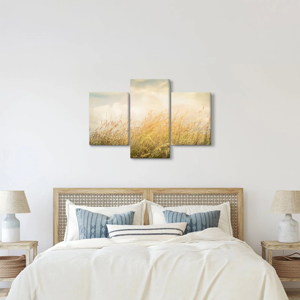 Obraz - Pole na jeseň (90x60 cm)