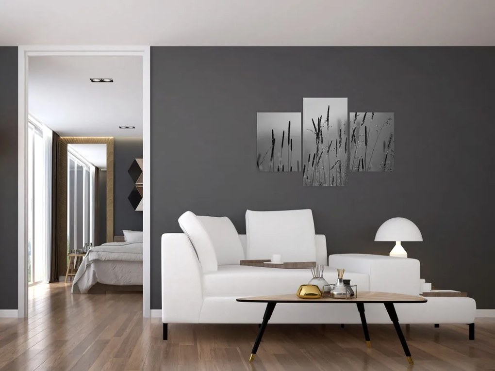 Obraz - Steblá trávy (90x60 cm)