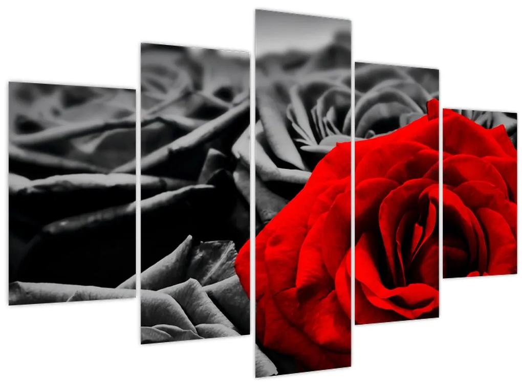Obraz - Ruže (150x105 cm)
